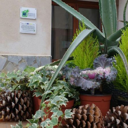 Albergue Turistico Tierras Altas Fuentes de Magana Zewnętrze zdjęcie